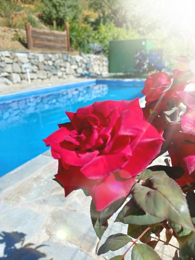 Agrompelo House Vila Agros Exterior foto