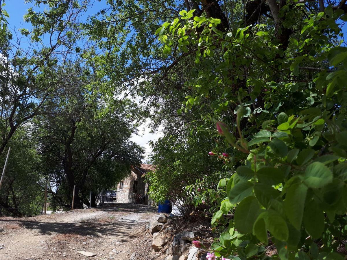 Agrompelo House Vila Agros Exterior foto